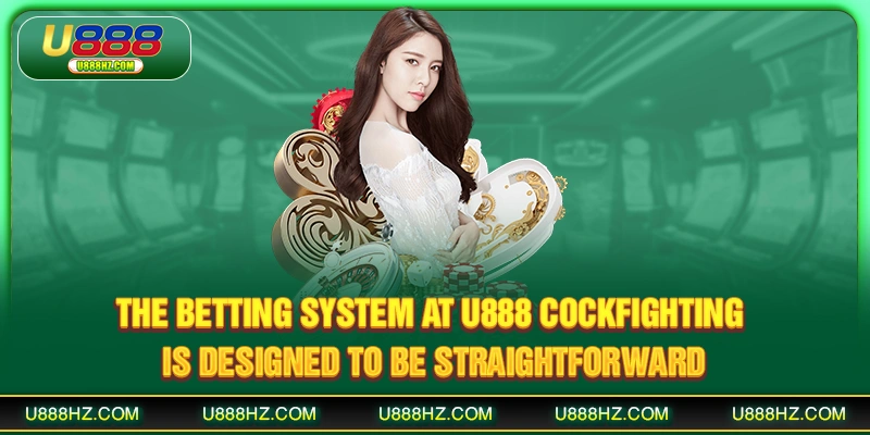 The betting system at U888 cockfighting is designed to be straightforward