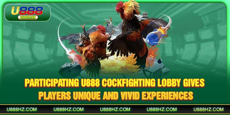 Participating U888 cockfighting lobby gives players unique and vivid experiences