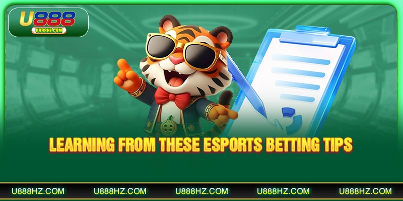 Learning from these Esports Betting Tips